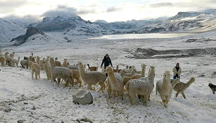 INDECI recomienda medidas de preparación ante la continuidad del descenso de la temperatura nocturna en la sierra centro y sur